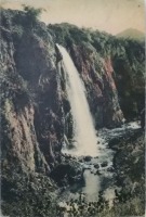 Кисловодск - Медовый водопад, в цвете