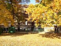 Москва - Царицыно. Осень. Вид на южную сторону Большого дворца в самом начале его реконструкции