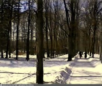 Москва - Москва, парк Сокольники, 2-ой Лучевой просек.