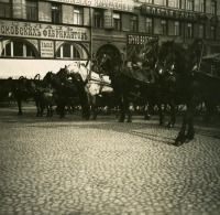 Санкт-Петербург - Лошадь старая