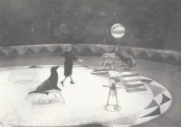 Санкт-Петербург - Представление в Ленинградском цирке в честь его 100-летия в 1978 году