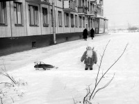 Санкт-Петербург - Ленинград, молочка на Бассейной, 1965