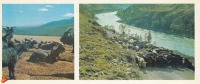 Алтайский край - Горный Алтай-край развитого животноводства