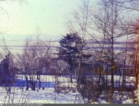 Хабаровск - Хабаровск. Вид на Амур из городского парка