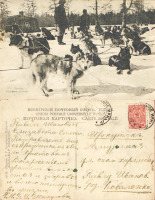 Охотск - Охотск №12 Ездовые собаки