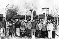 Польша - Группа французских узников концлагеря Освенцим (Аушвиц), освобожденных Красной Армией