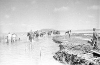 Приморский край - Переправа советских войск через затопленные участки к плацдарму у озера Хасан