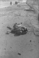 Берлин - Убитый немецкий солдат на улице Берлина.