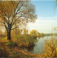 Киев - 2005 год. Киев. Озеро на жилом массиве Оболонь.