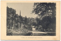 Массандра - Парк в Нижней Массандре, 1900-1917