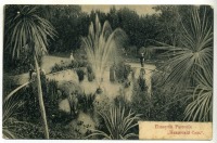 Никита - Плавучие растения. Никитский сад, 1900-1917
