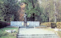 Новоград-Волынский - памятник 