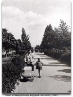 Северодонецк - Сквер в Северодонецке,ведущий к интернату,1960 г.