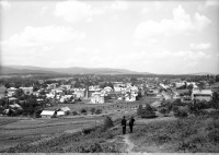 Трускавец - Панорама  Трускавця з Яцкової гори.