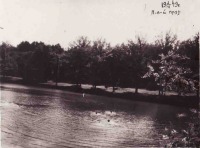 Диканька - Пивоварский пруд в Диканьке