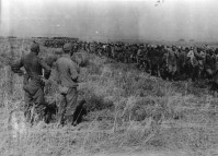 Волгоград - Группа пленных советских солдат под Сталинградом, сентябрь 1942г.