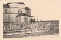 Берислав - Бериславское немецкое кладбище возле Свято-Введенского храма