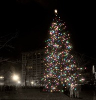 Нью-Йорк - Рождественская ёлка