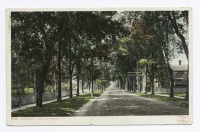 Нью-Йорк - Нью-Йорк. Улицы. Брикенхофф стрит, 1907