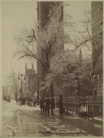 Нью-Йорк - Манхэттен. Пятая авеню,  1900