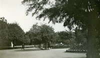 Саратов - Парк Липки в 1915 году