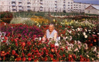 Саратов - В ботаническом саду госуниверситета1976-1978