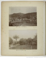 Франция - Ницца. Вид внутренней бухты. Пальмы в саду, 1898