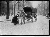 Париж - Городской гужевой транспорт, 1920