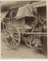 Париж - Двуколка огородника для перевозки овощей, 1910