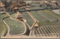 Япония - Рисовые поля с птичьего полёта, 1915-1930