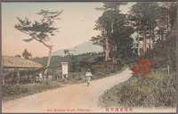 Япония - Хаконе-мачи. Старая дорога, 1918