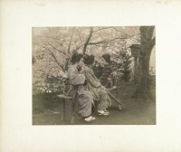 Япония - Женщины под вишнёвым деревом
