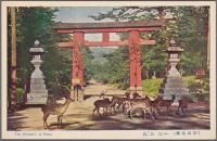 Япония - Синтоистские тории в парке Нара, 1915-1930