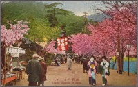 Кобе - Цветущие вишни в Сума, 1900-1940
