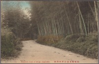 Нагасаки - Бамбуковая роща вдоль дороги Можи, 1907-1918