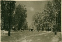 Алма-Ата - Алма-Ата. Парк Федерации. 1938 г.