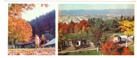 Ретро открытки - Сахалинская осень