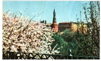 Ретро открытки - Москва. Кремль. Тайницкий садик