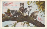 Ретро открытки - Котики на відкритках