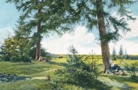 Ретро открытки - Пейзаж Александра Морозова