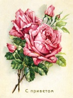 Ретро открытки - Роза с приветом