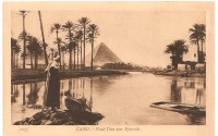 Ретро открытки - Египет.Пирамиды.