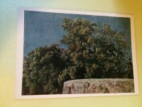 Ретро открытки - Нижняя галлерея в Альбано со входом на виллу Балберини