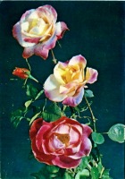 Ретро открытки - Роза 