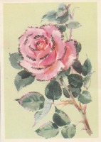 Ретро открытки - Роза.
