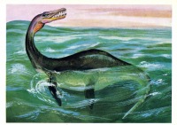 Ретро открытки - Плезиозавр.