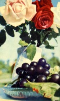 Ретро открытки - Троянди й виноград.