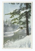 Ретро открытки - Зимний лес