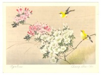 Ретро открытки - Цветущая азалия