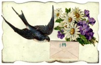 Ретро открытки - Ласточка и цветы